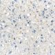 Icestone Sky Pearl Recycled Glass